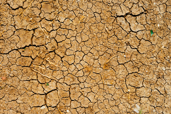 Drought Awareness and Advocacy